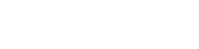DataStealth Logo White