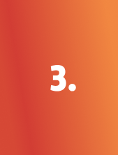 Component 6 (6)